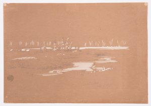 Rajz, Mocsaras táj Millinocket közelében, 1878. szeptember 20. alkotó: Frederic Edwin Church