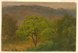 Rajz, hegyvidéki táj, 1865 augusztus alkotó: Frederic Edwin Church