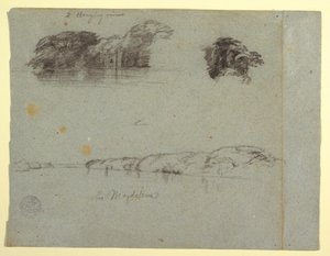 Rajz, Fák, szőlők és a Rio Magdalena folyó partjának vázlatai, Kolumbia, 1853, valószínűleg május alkotó: Frederic Edwin Church