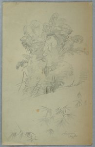 Rajz, Fák és ágak tanulmányai, Jamaica, 1865. augusztus alkotó: Frederic Edwin Church