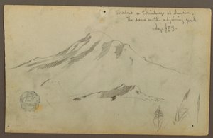 Rajz, Napfelkelte a Chimborazo-hegyen és három részlet a fűről, 1853. szeptember alkotó: Frederic Edwin Church