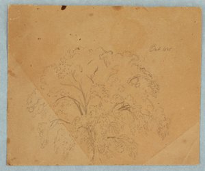 Rajz, fa; hátlap: Templomnézet, két angol nő 1636-ból, ló tanulmánya, 1845. október alkotó: Frederic Edwin Church