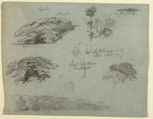 Rajz, Fák, facsúcsok és egy erdős part, Saddleback, Maine, 1853 alkotó: Frederic Edwin Church
