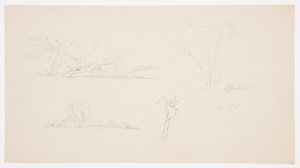 Rajz, Fák, part bokrokkal és fákkal, 1876 szeptembere alkotó: Frederic Edwin Church