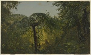 Rajz, Trópusi táj, 1865 június vagy július alkotó: Frederic Edwin Church
