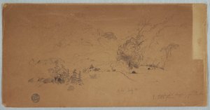 Rajz, Toche látképe, Kolumbia, 1853. július alkotó: Frederic Edwin Church