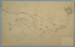 Rajz, erdős völgy nagy páfrányfenyővel és távoli hegyvonulatokkal, Jamaica, 1865. július alkotó: Frederic Edwin Church