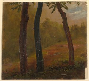 Rajz, Erdei jelenet, Jamaica, 1865 alkotó: Frederic Edwin Church