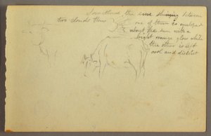 Rajz, sugarak felhők között, bikák, valószínűleg 1877 alkotó: Frederic Edwin Church