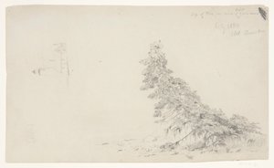 Örökzöld fa a part közelében a világítótorony és egy ház részletével, Mount Desert, Maine alkotó: Frederic Edwin Church