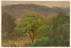 Genip Tree a hegyekben, Jamaica alkotó: Frederic Edwin Church