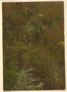 Domboldal fákkal, Jamaica alkotó: Frederic Edwin Church