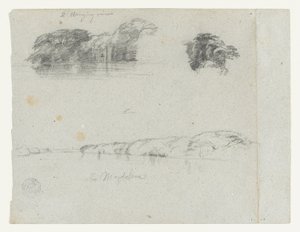 Fák, szőlők és a Rio Magdalena partjának vázlatai, Kolumbia alkotó: Frederic Edwin Church