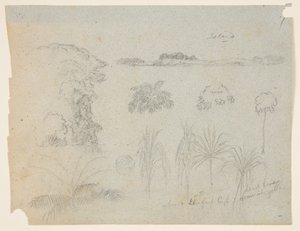 Tanuljon a fák tetejével, fákkal, öt növénymintával és egy távoli szigettel alkotó: Frederic Edwin Church