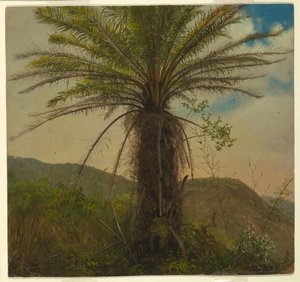 Tree Fern, Jamaica alkotó: Frederic Edwin Church