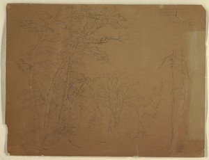 Fák, Grand Manan-sziget, Kanada alkotó: Frederic Edwin Church