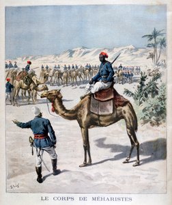 Meharista test, 1894