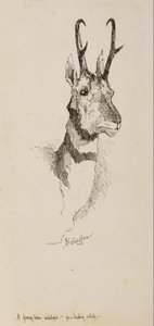 Egy pronghorn antilop alkotó: Frederic Remington