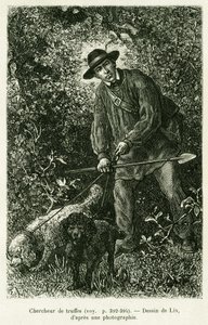 Szarvasgomba kereső. Lix metszete az Elzászon és Lotaringián keresztül című történet illusztrálására, Charles Grad német deputátor 1884-ben, a tour du monde 1886-ban, rendezte Edouard Charton (1807-1890), Hachette, Párizs.