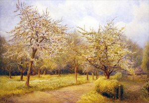 Virágzó fák (akvarell papíron)