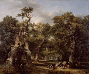 A Forest Glade, Arden, Warwickshire, 1845.