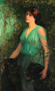A fekete orchidea, 1907.