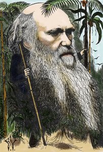 Charles DARWIN (1809-1882) karikatúrája F. Waddy-ról az 1873-as „” in Once A Week című filmben.