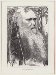 Charles Darwin, Természetes kiválasztás