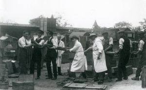 Egy 20 láb hosszú Python, amelyet az Állattani Társaság tizenegy tagja hordott, Londoni Állatkert, 1925. június alkotó: Frederick William Bond