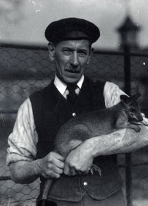 Egy állattartó falkabát tart, 1920. október (f/w fotó) alkotó: Frederick William Bond