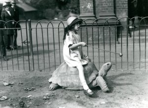 Egy kicsi lány, Betty, egy botot tart, melynek végén alma, hogy vezesse az óriásteknőst, amin lovagol, Londoni Állatkert, 1924 alkotó: Frederick William Bond