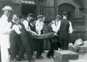 Egy csapat férfi aligátort cipel, akit Sir Peter Chalmers Mitchell vigyázott a Londoni Állatkertben, 1924 alkotó: Frederick William Bond