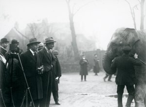 Egy indiai elefánt, valószínűleg Sundermalah, részt vesz egy külső adásban a Londoni Állatkertből, 1925 alkotó: Frederick William Bond