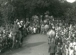 Elephant Rides, három ázsiai elefánttal, akiket bámészkodók tömegei figyeltek a londoni állatkertben 1926 augusztusában (f/w fotó) alkotó: Frederick William Bond