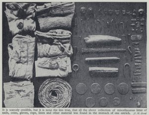 Egy strucc gyomrában talált tárgyak (f/w fotó) alkotó: Frederick William Bond