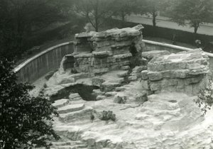 Monkey Hill