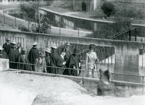 Sir Peter Chalmers Mitchell Haile Selassie etióp régenssel és kíséretével egy barna medvét nézeget a Mappin Terraces-en, London Állatkertben, 1924 alkotó: Frederick William Bond