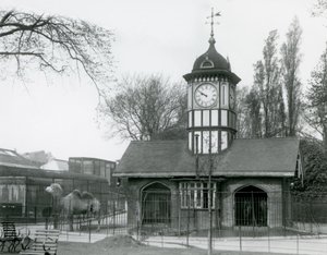 A teveház. Londoni Állatkert alkotó: Frederick William Bond