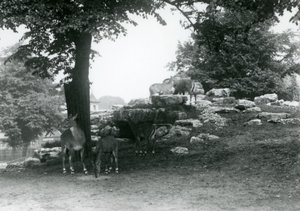 Az ElandAntelope Paddock a londoni állatkertben 1924-ben alkotó: Frederick William Bond