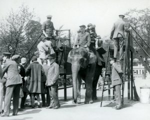 A látogatók sorban állnak az elefántlovaglásért, míg mások elindulnak, öt állattartó segítségével, Londoni Állatkert, 1927 alkotó: Frederick William Bond