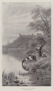 Arundel kastély, Sussex