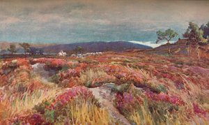 On The Heath Lytchett Minster, 1904