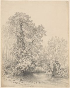 Fák a folyó mellett a Bromwich kastélyban alkotó: Frederick William Watts