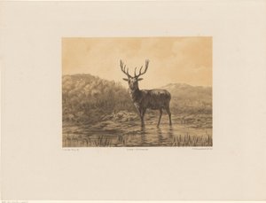 Hert in landschap   1369972   hu       hungarian Successfully Translated  Original: Maria met kind Translat: Maria met kind 1368870 hu hungarian Successfully Translated Original: Laatste avondmaal Translat: Laatste avondmaal 1381118 hu hungarian Successful