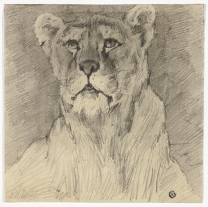 Ülő oroszlán nő elölnézetből alkotó: Frederik William Zurcher