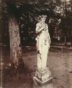 Versailles-Faun alkotó: Eugène Atget