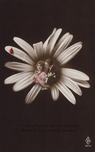 Fiatal pár egy virág közepén katicabogárral (színezett fotókollázs) alkotó: French Photographer