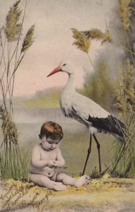 Baba gólyával alkotó: French Photographer
