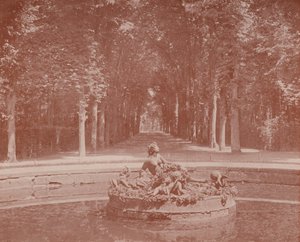 Basin of Flora, Versailles Park (f/w fotó) alkotó: French Photographer