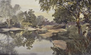 Fontainebleau, Erdő, Mare de Franchard alkotó: French Photographer